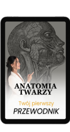 Wizualizacja map mięśni ciała i twarzy